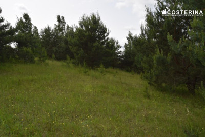 Działka rekreacyjna 3013 m w Nowych Polaszkach blisko jeziora Hutowego Kaszuby - Nowe Polaszki   -
pomorskie Zdjęcie nr 11