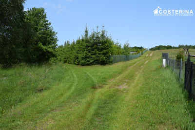 Działka rekreacyjna 3013 m w Nowych Polaszkach blisko jeziora Hutowego Kaszuby - Nowe Polaszki   -
pomorskie Zdjęcie nr 12
