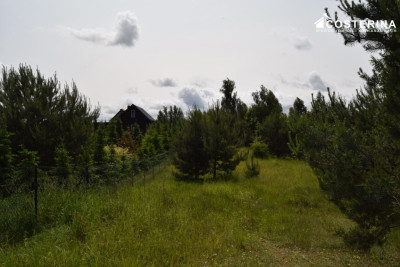 Działka rekreacyjna 3013 m w Nowych Polaszkach blisko jeziora Hutowego Kaszuby - Nowe Polaszki   - pomorskie