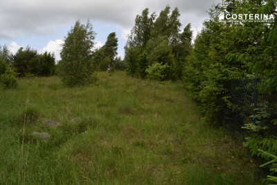 Działka rekreacyjna 3013 m w Nowych Polaszkach blisko jeziora Hutowego Kaszuby - Nowe Polaszki   -
pomorskie Zdjęcie nr 2