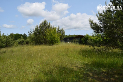 Działka rekreacyjna 3013 m w Nowych Polaszkach blisko jeziora Hutowego Kaszuby - Nowe Polaszki   -
pomorskie Zdjęcie nr 4