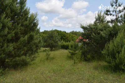 Działka rekreacyjna 3013 m w Nowych Polaszkach blisko jeziora Hutowego Kaszuby - Nowe Polaszki   -
pomorskie Zdjęcie nr 5