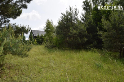 Działka rekreacyjna 3013 m w Nowych Polaszkach blisko jeziora Hutowego Kaszuby - Nowe Polaszki   -
pomorskie Zdjęcie nr 7