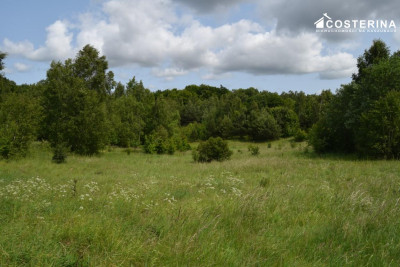 Działka rekreacyjna 3013 m w Nowych Polaszkach blisko jeziora Hutowego Kaszuby - Nowe Polaszki   -
pomorskie Zdjęcie nr 8