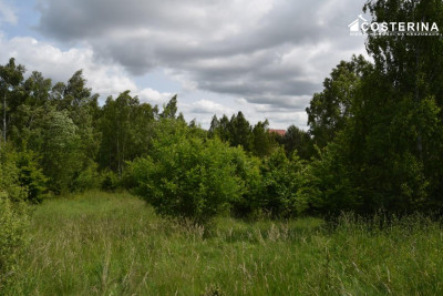 Działka rekreacyjna 3013 m w Nowych Polaszkach blisko jeziora Hutowego Kaszuby - Nowe Polaszki   -
pomorskie Zdjęcie nr 9