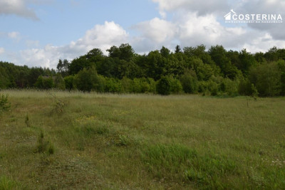 Sikorzyno działka pod zabudowę rekreacyjną 500 m od jeziora Długiego - Sikorzyno   -
pomorskie Zdjęcie nr 3