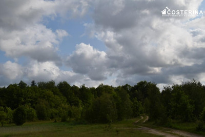 Sikorzyno działka pod zabudowę rekreacyjną 500 m od jeziora Długiego - Sikorzyno   -
pomorskie Zdjęcie nr 5