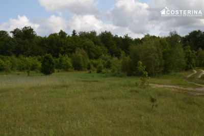 Sikorzyno działka pod zabudowę rekreacyjną 500 m od jeziora Długiego - Sikorzyno   -
pomorskie Zdjęcie nr 6