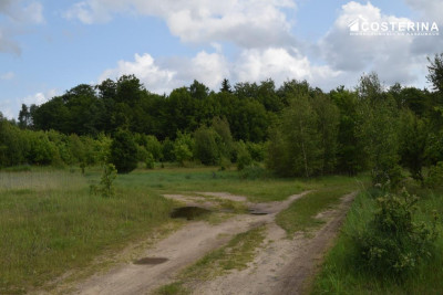Sikorzyno działka pod zabudowę rekreacyjną 500 m od jeziora Długiego - Sikorzyno   -
pomorskie Zdjęcie nr 7