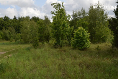 Sikorzyno działka pod zabudowę rekreacyjną 500 m od jeziora Długiego - Sikorzyno   -
pomorskie Zdjęcie nr 8