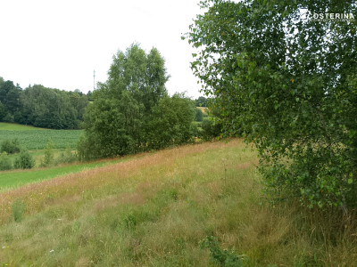 Działka budowlana z widokiem i wodociągiem Nowa Wieś Przywidzka  1500 m - Nowa Wieś Przywidzka  -
pomorskie Zdjęcie nr 4