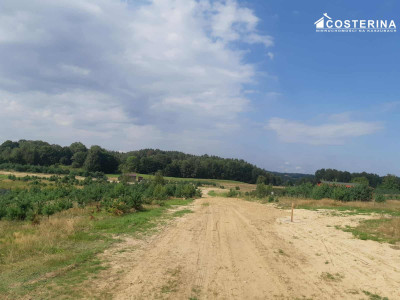 Działka budowlana z dostępem do mediów blisko jeziora Cheb  Piechowice Kaszuby - Piechowice  -
pomorskie Zdjęcie nr 6