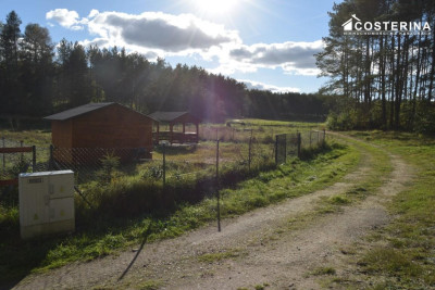 Działka rekreacyjna w Konarzynach  ogrodzona blisko Jeziora Wygonin - Konarzyny  -
pomorskie Zdjęcie nr 6
