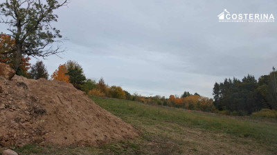 Działka inwestycyjna 706 ha w Zadrach gmina Miastko Pojezierze Bytowskie - Zadry  -
pomorskie Zdjęcie nr 2