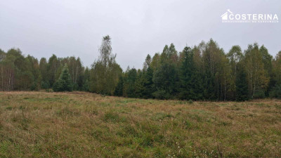 Działka inwestycyjna 706 ha w Zadrach gmina Miastko Pojezierze Bytowskie - Zadry  -
pomorskie Zdjęcie nr 7