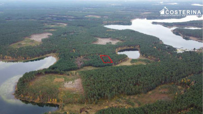 Działka rekreacyjna w Goluniu - Wdzydze  -
pomorskie Zdjęcie nr 10