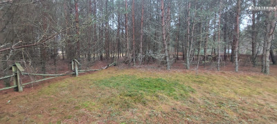 Działka rekreacyjna w Goluniu - Wdzydze  -
pomorskie Zdjęcie nr 2