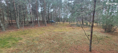 Działka rekreacyjna w Goluniu - Wdzydze  -
pomorskie Zdjęcie nr 3