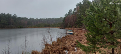 Działka rekreacyjna w Goluniu - Wdzydze  -
pomorskie Zdjęcie nr 4