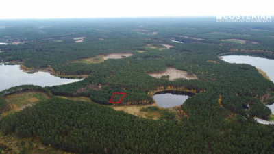 Działka rekreacyjna w Goluniu - Wdzydze  -
pomorskie Zdjęcie nr 5