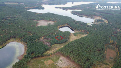 Działka rekreacyjna w Goluniu - Wdzydze  -
pomorskie Zdjęcie nr 6