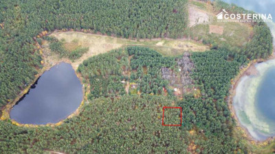 Działka rekreacyjna w Goluniu - Wdzydze  -
pomorskie Zdjęcie nr 7