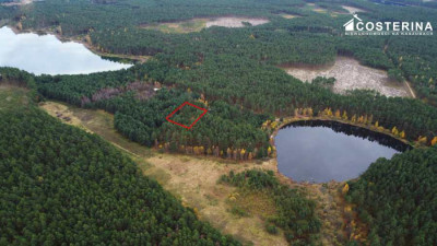 Działka rekreacyjna w Goluniu - Wdzydze  -
pomorskie Zdjęcie nr 8