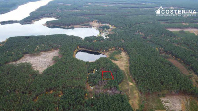 Działka rekreacyjna w Goluniu - Wdzydze  -
pomorskie Zdjęcie nr 9