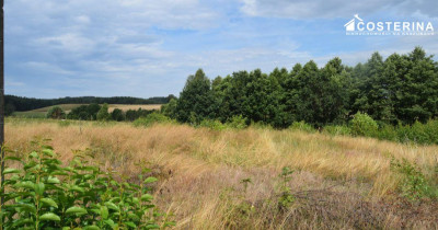 Działka 1147 m pod dom jednorodzinny Piechowice gmina Dziemiany  Kaszuby - Dziemiany  -
pomorskie Zdjęcie nr 4