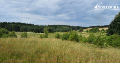Działka 1147 m pod dom jednorodzinny Piechowice gmina Dziemiany  Kaszuby - Dziemiany  -
pomorskie Zdjęcie nr 6