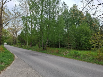 Sobącz  8165 m dużej działki blisko jeziora na Kaszubach - Sobącz  - pomorskie