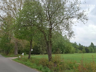 Sobącz  8165 m dużej działki blisko jeziora na Kaszubach - Sobącz  -
pomorskie Zdjęcie nr 2