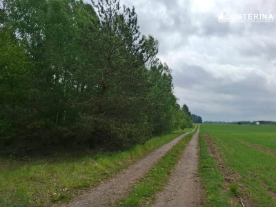 Sobącz  8165 m dużej działki blisko jeziora na Kaszubach - Sobącz  -
pomorskie Zdjęcie nr 3