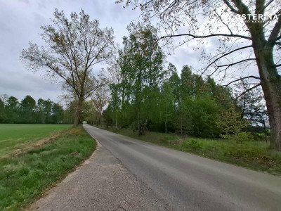 Sobącz  8165 m dużej działki blisko jeziora na Kaszubach - Sobącz  -
pomorskie Zdjęcie nr 4