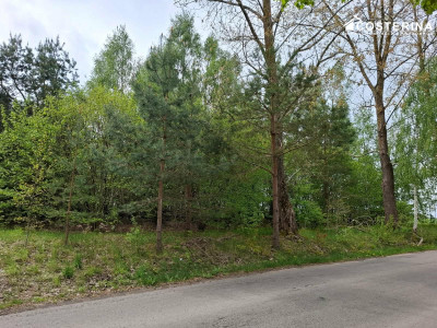 Sobącz  8165 m dużej działki blisko jeziora na Kaszubach - Sobącz  -
pomorskie Zdjęcie nr 6