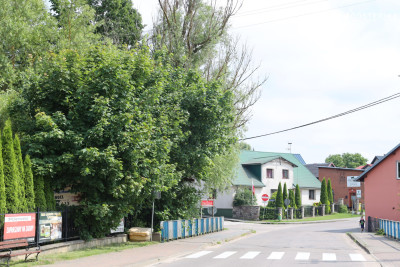 Wyjątkowa działka z widokiem jak w Toskanii - Stara Kiszewa  -
pomorskie Zdjęcie nr 12
