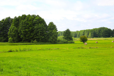 Wyjątkowa działka z widokiem jak w Toskanii - Stara Kiszewa  -
pomorskie Zdjęcie nr 4