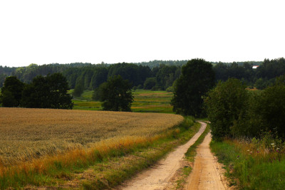 Wyjątkowa działka z widokiem jak w Toskanii - Stara Kiszewa  -
pomorskie Zdjęcie nr 5