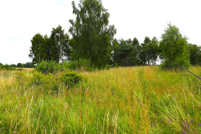 Wyjątkowa działka z widokiem jak w Toskanii - Stara Kiszewa  -
pomorskie Zdjęcie nr 6