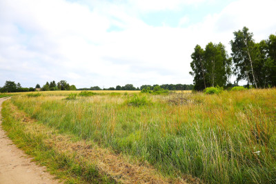 Wyjątkowa działka z widokiem jak w Toskanii - Stara Kiszewa  -
pomorskie Zdjęcie nr 8
