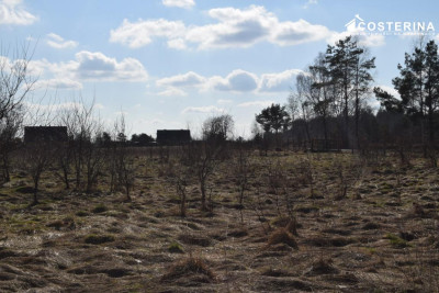 Działka budowlana nad jeziorem - Parchowo   -
pomorskie Zdjęcie nr 10
