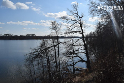 Działka budowlana nad jeziorem - Parchowo   -
pomorskie Zdjęcie nr 11