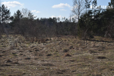 Działka budowlana nad jeziorem - Parchowo   -
pomorskie