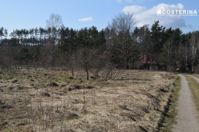 Działka budowlana nad jeziorem - Parchowo   -
pomorskie Zdjęcie nr 3