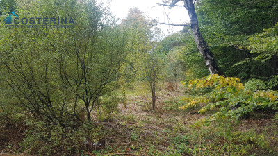 Działka rolno-budowlana - Gołubie   - pomorskie