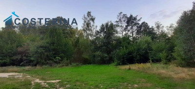 Działka rolno-budowlana - Gołubie   -
pomorskie Zdjęcie nr 2