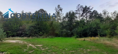 Działka rolno-budowlana - Gołubie   -
pomorskie Zdjęcie nr 3