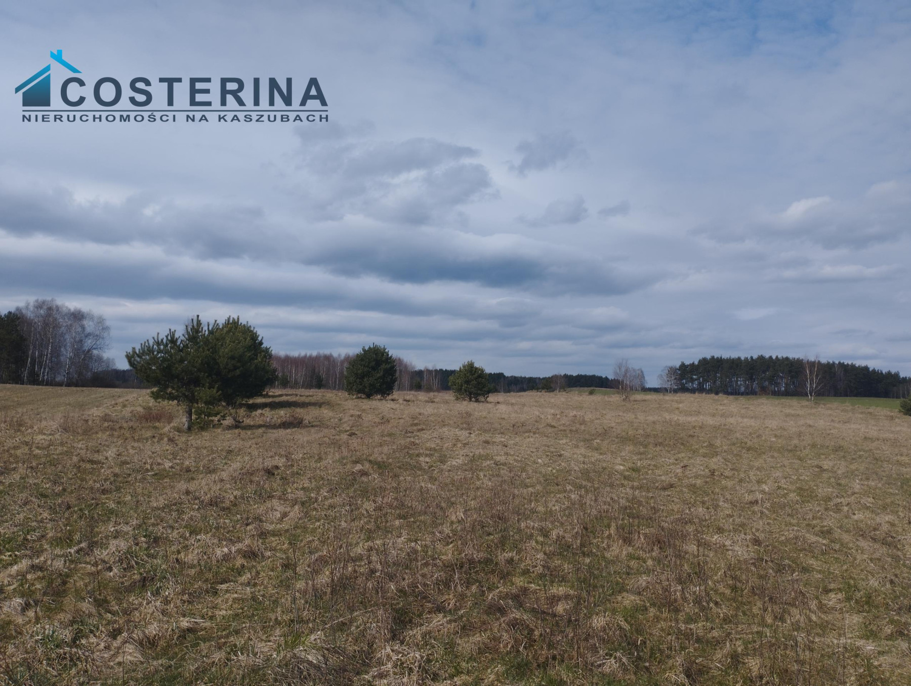 Działka w Borach Tucholskich - Karsin   -
pomorskie Zdjęcie nr 1