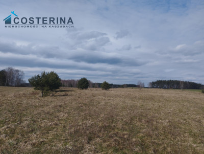 Działka w Borach Tucholskich - Karsin   -
pomorskie