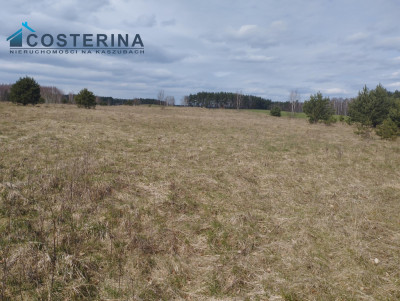 Działka w Borach Tucholskich - Karsin   -
pomorskie Zdjęcie nr 5
